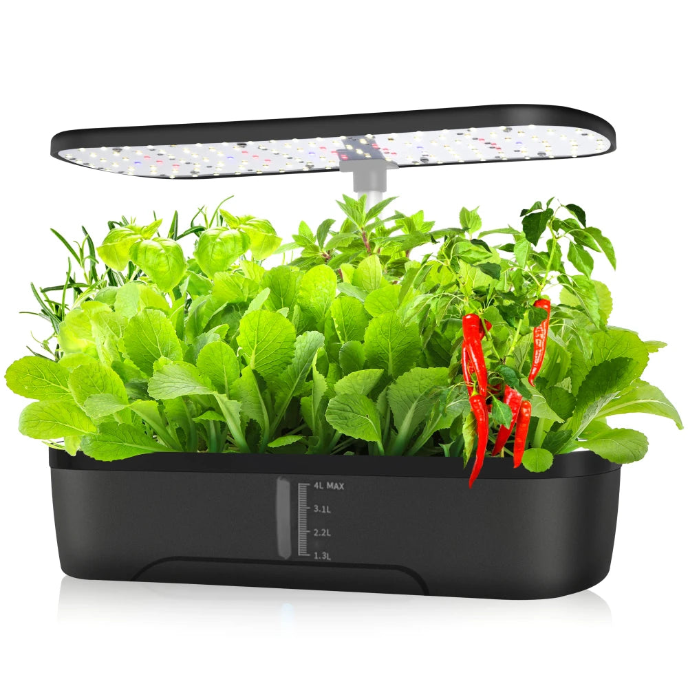 Indoor Hydroponic Herb Garden System