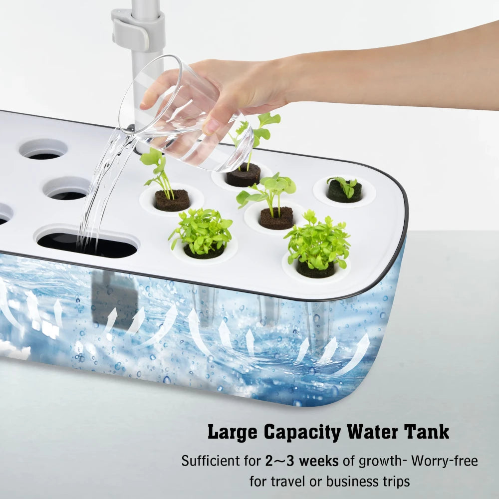 Indoor Hydroponic Herb Garden System