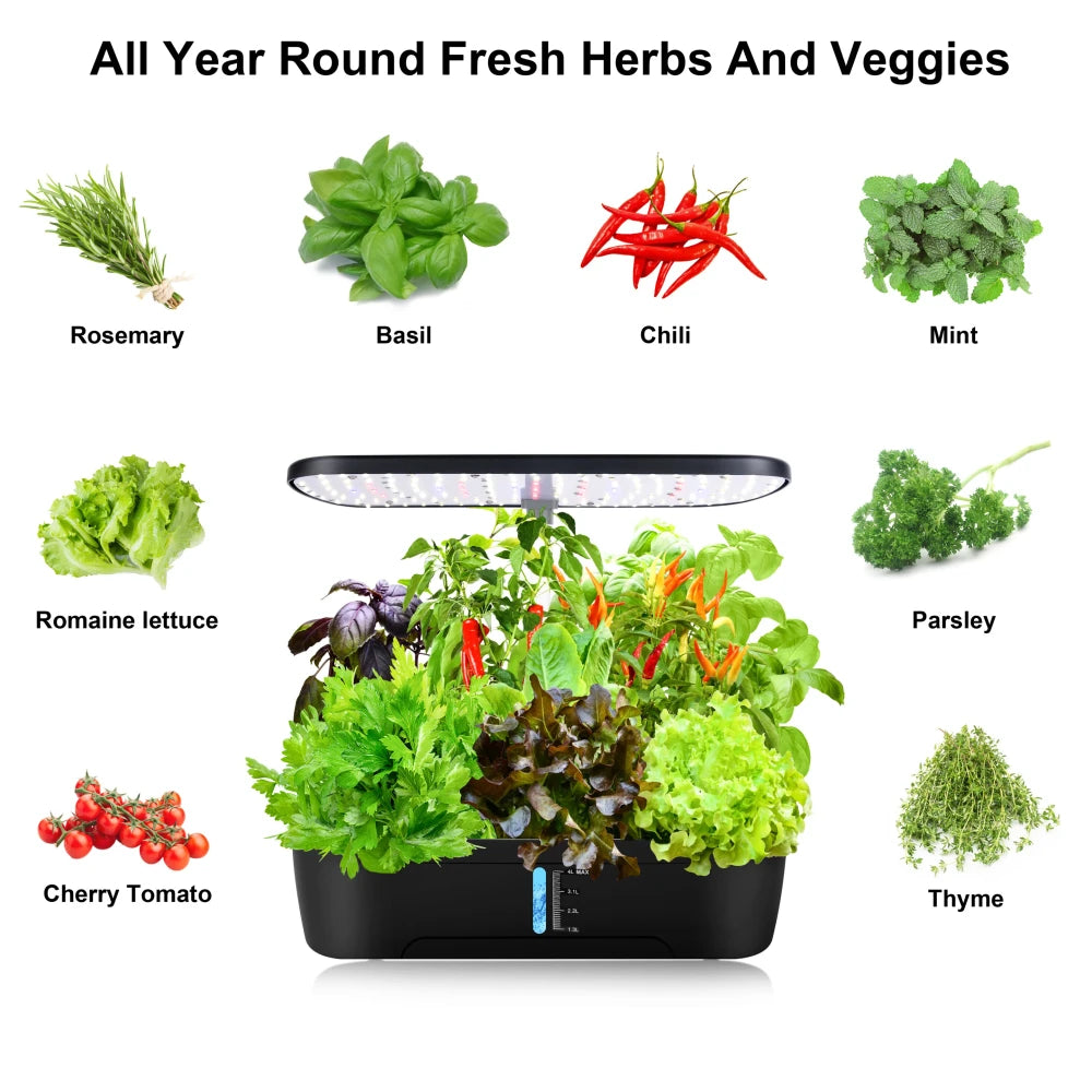 Indoor Hydroponic Herb Garden System